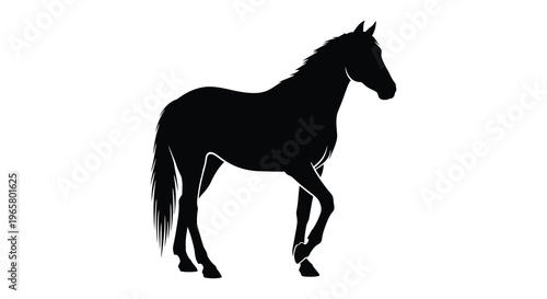 Elegant black horse standing in a field a striking silhouette