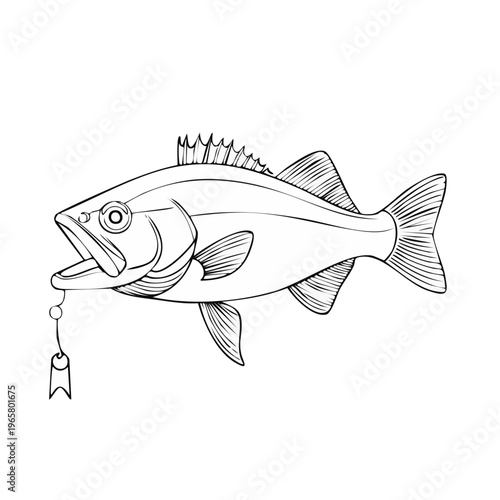 Outline illustration of a predatory bass fish caught on a fishing lure