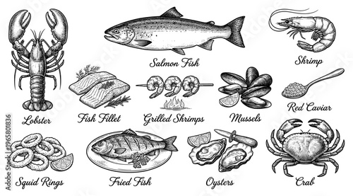Seafood and fish set for restaurant menu lobster salmon vintage engraving