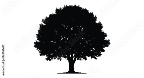 A solitary dark tree stands boldly against a bright background silhouette