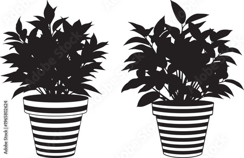 Potted plants set, black and white vector silhouette collection of house plants in striped flower pots, botanical home decor icons, simple flat design isolated on white background