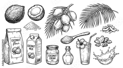 Coconut food set milk oil flour water cream and leaf vintage sketch