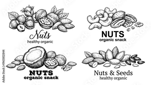 Nut set for organic snack packaging with almond walnut and hazelnut