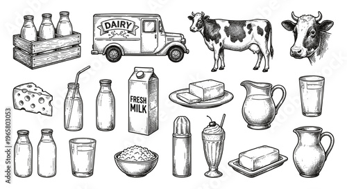Dairy product set with cow milk truck cheese butter and curd sketch