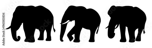 Elephant icon set with black silhouette on white backdrop featuring wildlife conservation, endangered species, iconography with high contrast and minimalist design