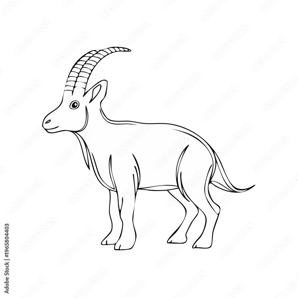 Obraz premium Stylized line drawing of an ibex with large curved horns standing still