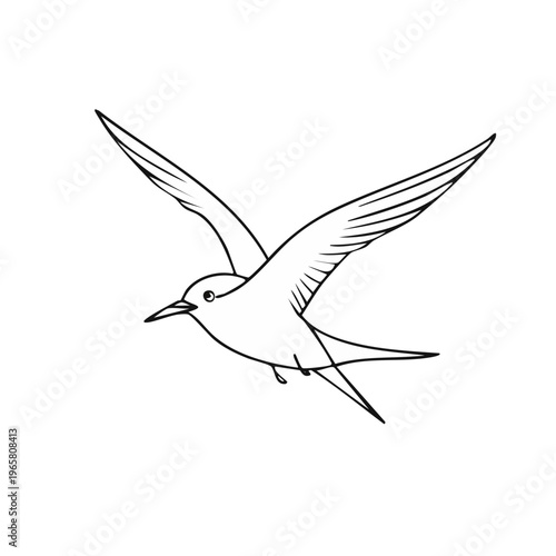 Elegant Bird Silhouette in Mid Flight with Wings Extended and Tail Feathers Pointed