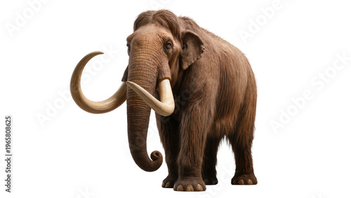 Canvas Print Majestic woolly mammoth with impressive long curved tusks and thick brown fur, s