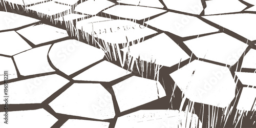 Abstract pattern of irregular brown shapes resembling cracked earth and sparse grass texture white