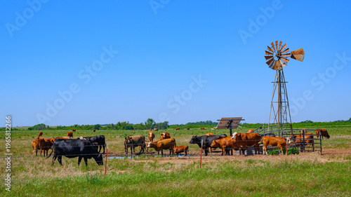 Photos from in and around Lone Wolf, Oklahoma, a small rural farming & agricultural town that has fallen on hard times.