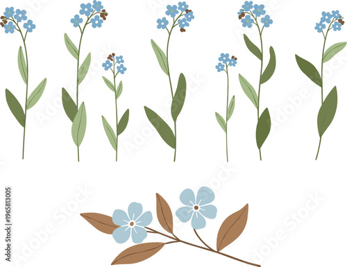 Forget Me Not Flower Vector Set with Delicate Blue Blossoms and Botanical Elements in Minimal Style for Spring Design, Nature Illustration, and Decorative Graphics