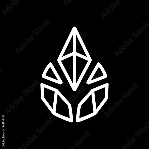 Abstract geometric white outline logo resembling a faceted leaf or water drop on a solid black background, minimalist and modern design.