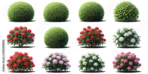 Collection of green leafy bushes and colorful flowering shrubs with blossoms, garden plants, landscape design elements, botanical diversity, flat vector illustration