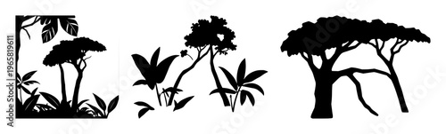 Rainforest canopy protection set with solid black icon on white background featuring eco, sustainability, nature with graphics and illustration