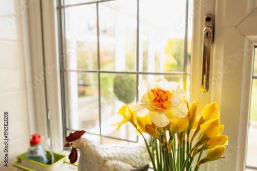 Shallow focus of freshly picked daffodils seen on a springtime kitchen window. Looking out at the back garden, part of a large conservatory is visible.