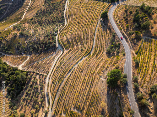Drone view of terraced vineyards with a winding paved road and a car in Douro Valley Portugal, showing agricultural patterns and dry hillside landscape.