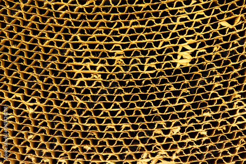 Close-up of golden brown ca...