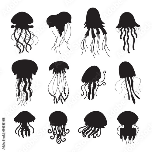 Jellyfish black silhouettes. Ocean underwater animals, silhouette of sea creatures. Nautical characters for cut, different wall stickers shapes, classy vector set