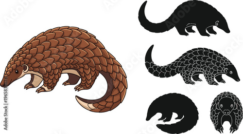 Pangolin Vector Set with Realistic and Silhouette Poses of Armored Mammals for Wildlife, Nature, and Animal Illustrations, Cartoon and Educational Designs