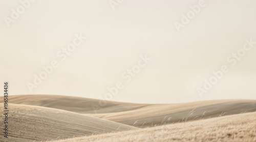 Rolling beige hills in a minimalist landscape