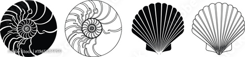 Seashell Vector Set Illustrations Featuring Nautilus Shells and Scallop Shells in Black and White Silhouette and Line Art Styles for Marine, Ocean, and Coastal Designs