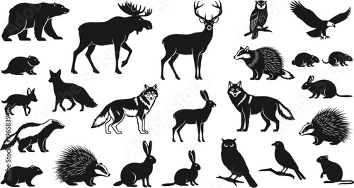 Forest animal silhouettes set, bear deer moose wolf fox owl rabbit porcupine rodent wildlife vector illustration collection isolated black woodland mammal shapes bundle
