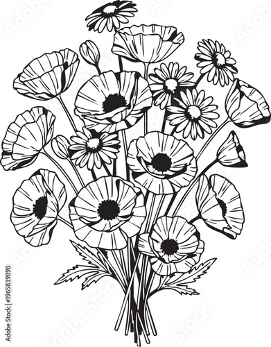 Black and white of poppies and daisies flowers