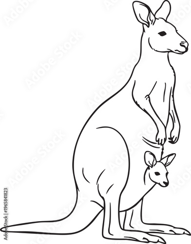 A black and white line drawing of a kangaroo with a joey in her pouch