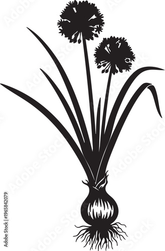 A black silhouette of a dandelion plant with flowers and roots