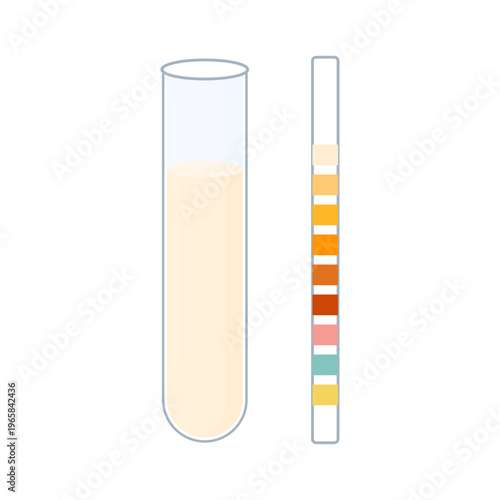 Urine sample tube and urinalysis reagent strip for kidney exam, urinary tract infection and cystitis diagnostics. Ketone and PH rapid test strips for ketogenic and alkaline diets. 