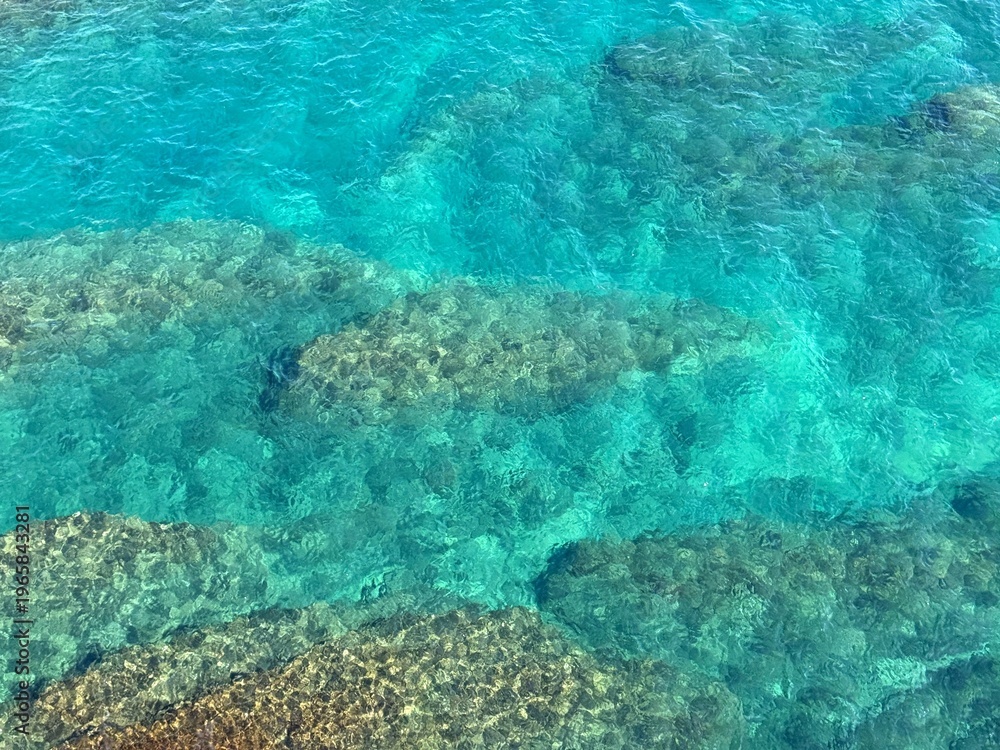 Fototapeta premium Transparent blue sea with algae aerial view.