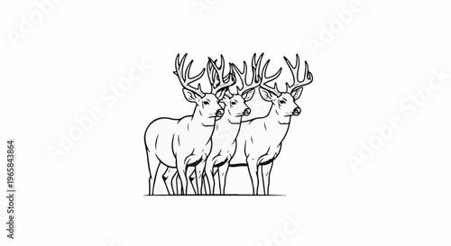 Three majestic bucks with large antlers stand side by side in a line