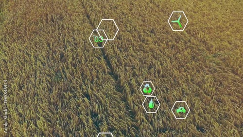 Smart agriculture analytics showing aerial wheat field with hex icons highlighting green symbols