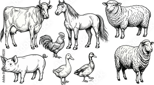 Fotografía Detailed line drawings of farm animals including cow, horse, sheep, pig, rooster