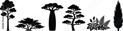 Collection of black tree silhouettes and botanical plants including baobab bonsai cypress and forest ferns isolated on a white background