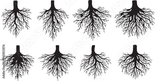 Black silhouettes of lungs with branching airways bronchial tree respiratory system human anatomy