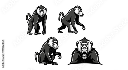 Detailed Baboon Illustrations - A Collection of Striking Monkey Poses.
