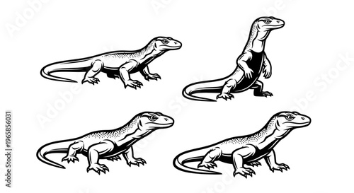 Detailed Illustration of Komodo Dragons in Various Poses.