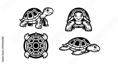 Detailed Turtle Illustrations - A Collection of Black and White Drawings.