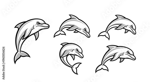 Dolphin Sketches - A Collection of Marine Mammal Illustrations.