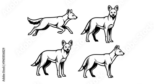 Elegant African Wild Dog Illustrations in Various Poses.