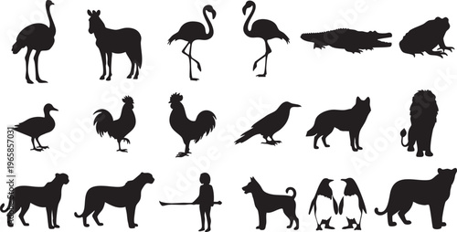 Black silhouettes of various animals and a person animal silhouettes white background person silhouette