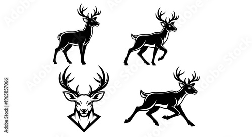 Elegant Deer Silhouettes - A Collection of Majestic Wildlife Illustrations.