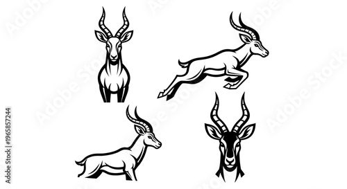 Elegant Impala Illustrations - A Collection of Graceful African Antelopes.