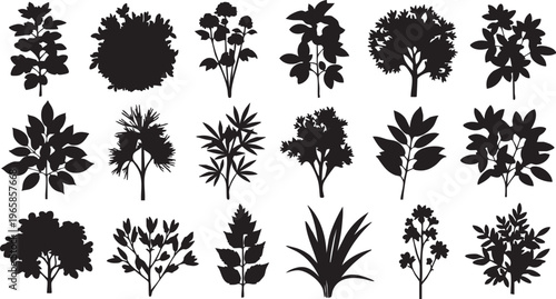 Black silhouettes of various plants and flowers on white background plant silhouettes flower silhouettes