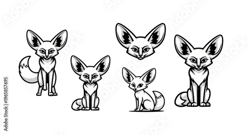Fennec Fox Illustrations - A Collection of Desert Canids.