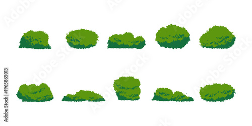 Bush Foliage Illustration