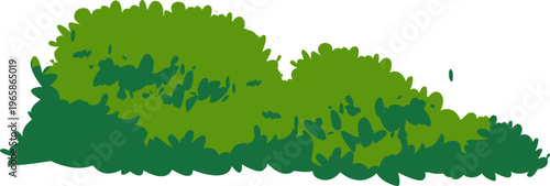Bush Foliage Illustration