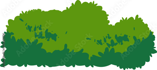 Bush Foliage Illustration
