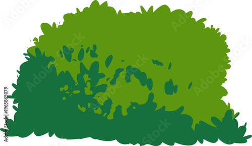Bush Foliage Illustration